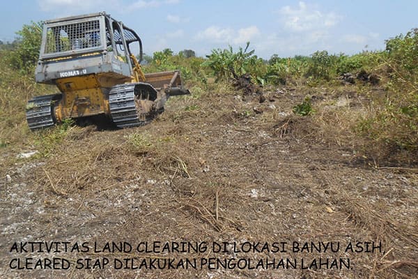 land clearing - pt aman agrindo (2)
