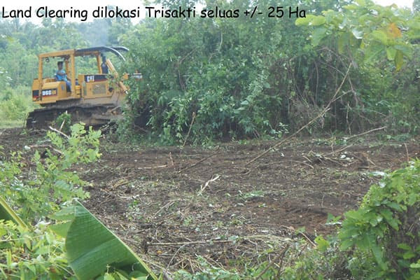 land clearing - pt aman agrindo (3)