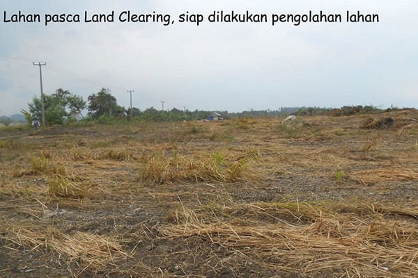 land clearing - pt aman agrindo (4)