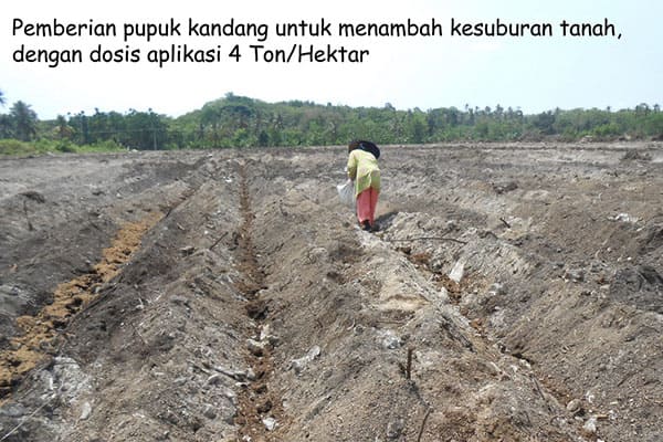 manure application