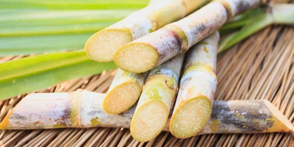 product - sugarcane