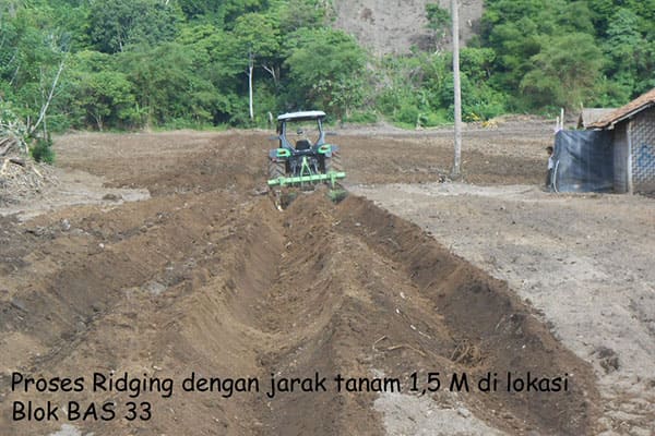 ridging - pt aman agrindo (1)